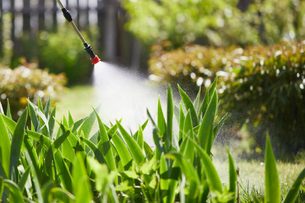 24/7 Emergency Mosquito Control experts in Penhook, VA